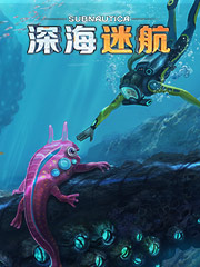 温州的鞋子便宜吗